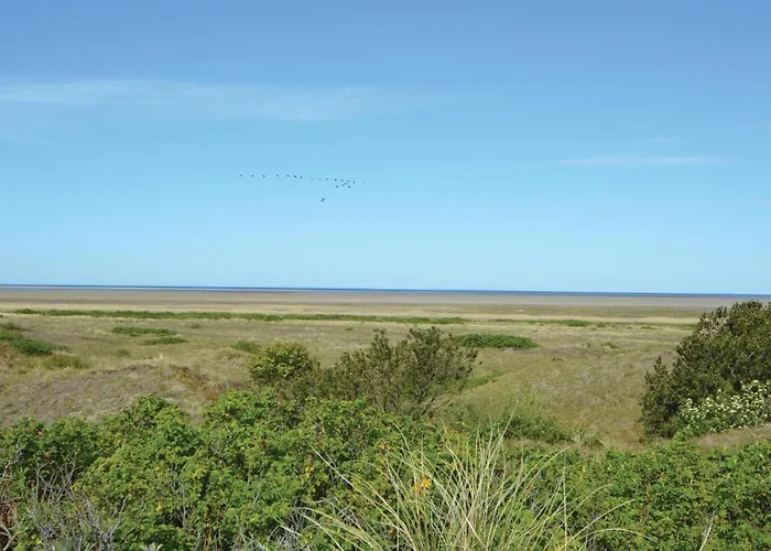 In With Wifi * 里伯